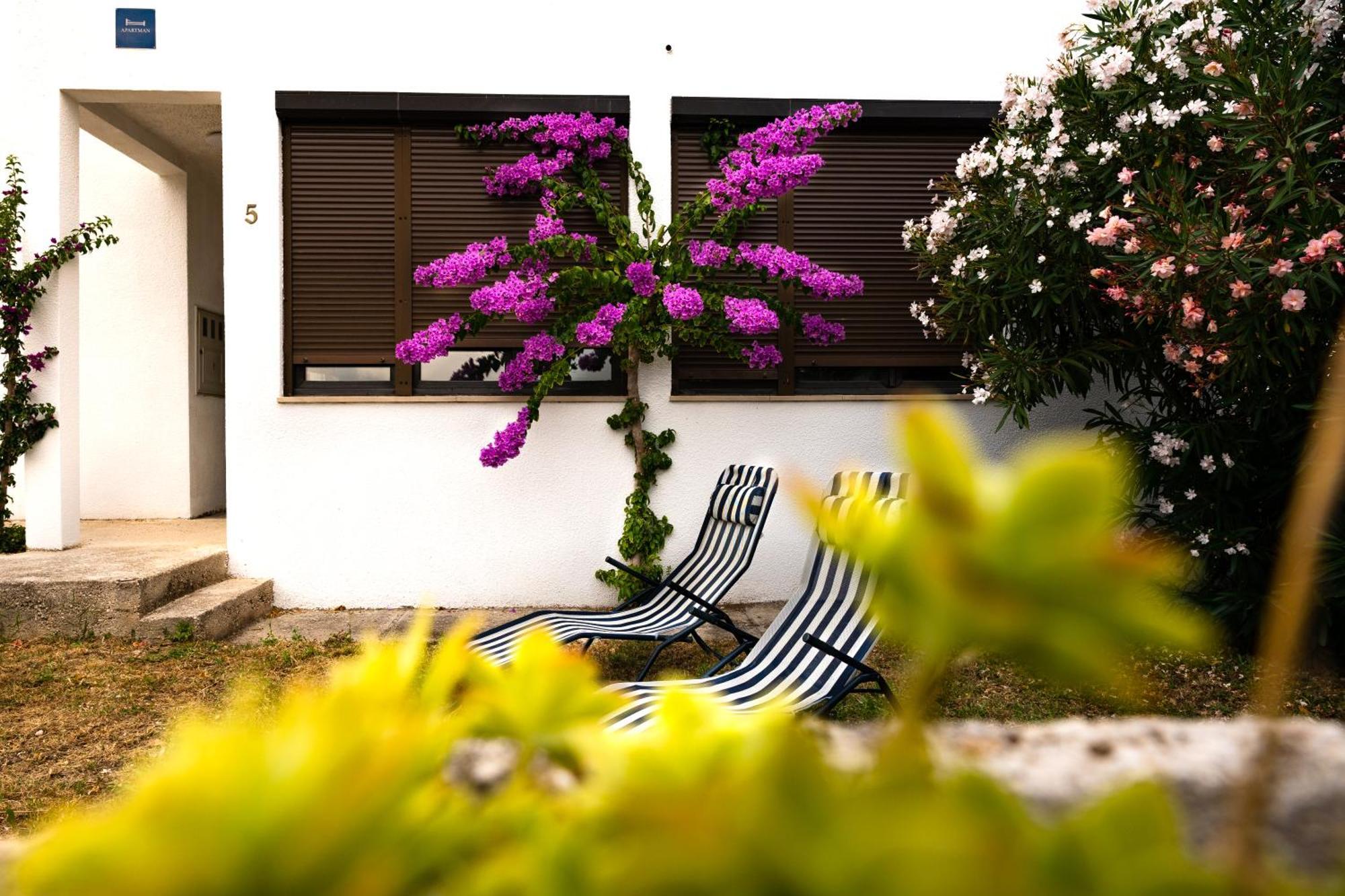 Apartments Dida Sime Starigrad Paklenica Bagian luar foto